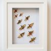 Small Flock and Affirmation Crane Set