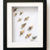 Small Flock and Affirmation Crane Set