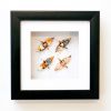4 Crane Frame and Affirmation Crane Set