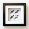 4 Crane Frame and Affirmation Crane Set