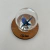 Wish Bubble